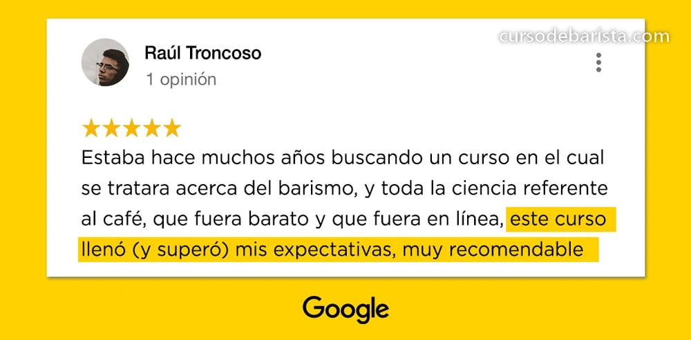 Reseña de Raúl Troncoso en Google sobre el curso